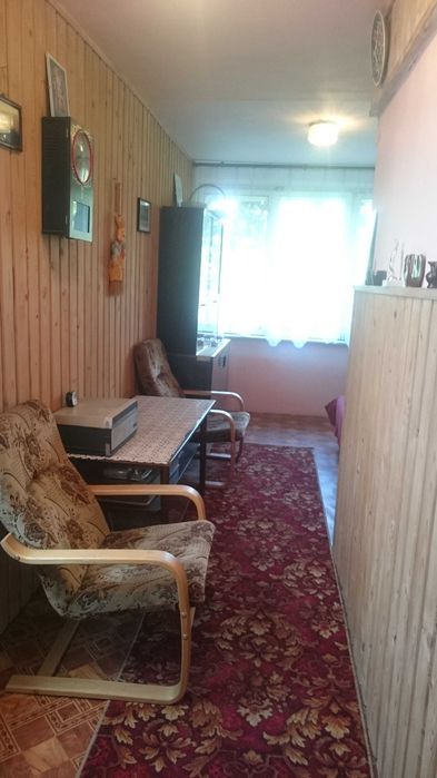 Działka ROD w Chełmnie.