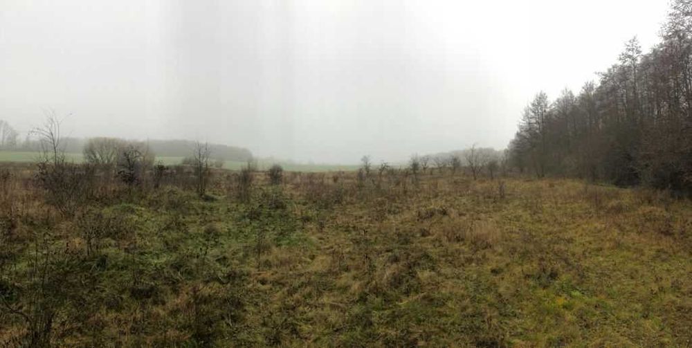 Земельна ділянка 1,5 га ЖД під елеватор/склад/базу