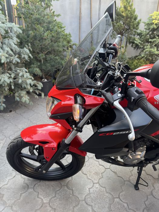 Хонда cbf 250  cbr 250