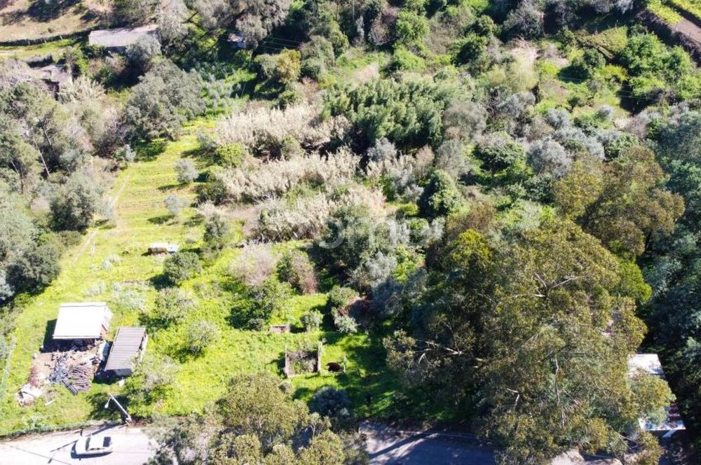 Terreno Urbano com Declive, Moradia de 3 Pisos em São Paulo de Frades