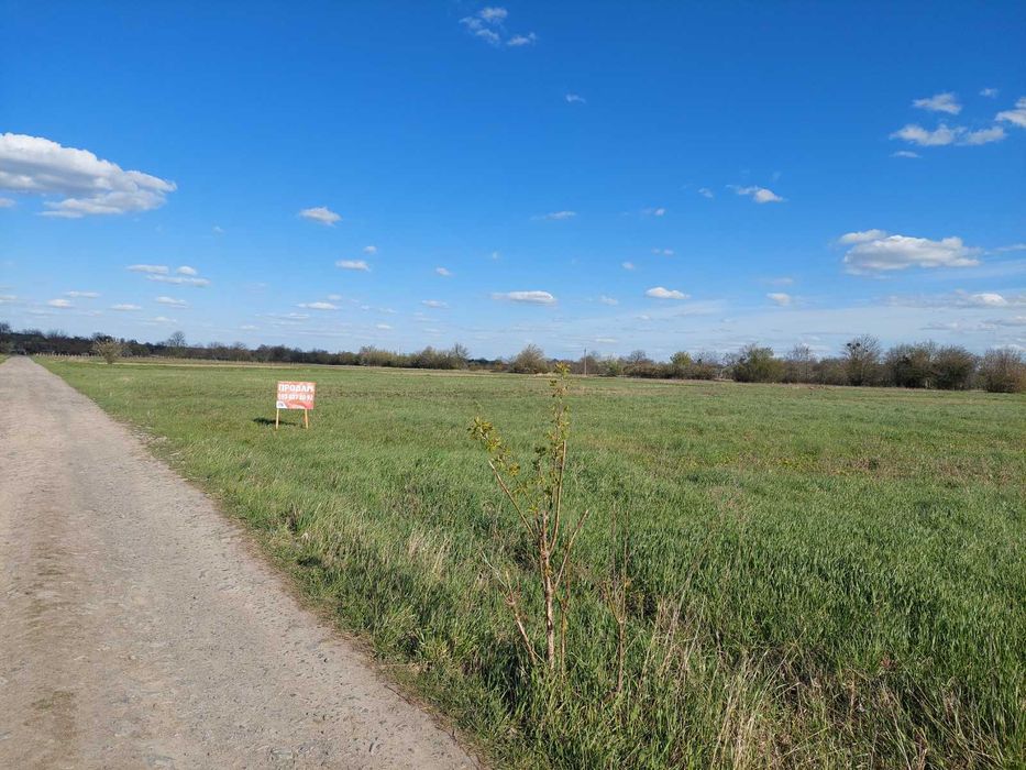 Продам ділянку с/г призначення в с. Писарівка 5180