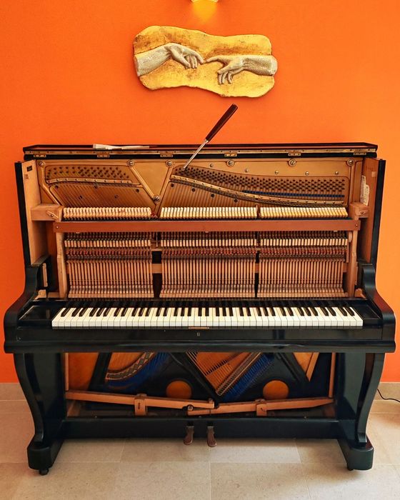 Fernando Leão Afinador de Pianos do Sul / Piano tuner in the Algarve