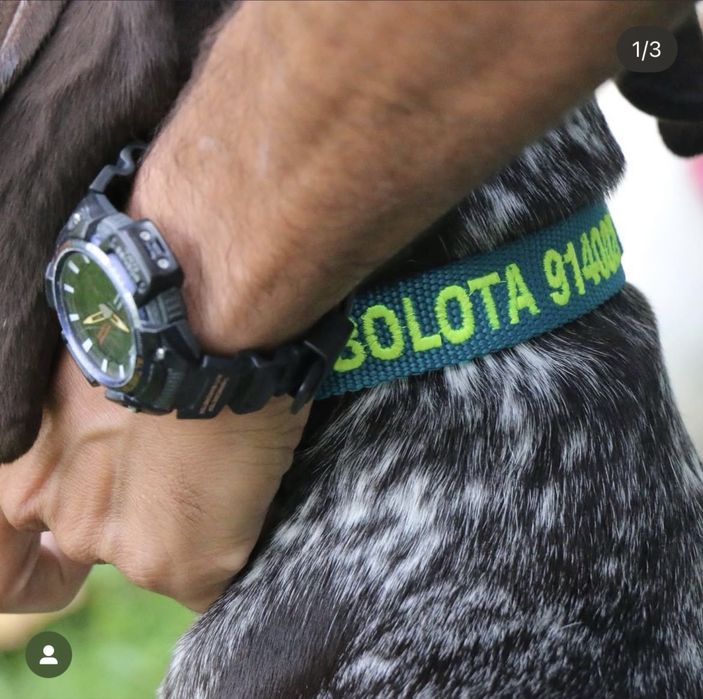 Coleiras Personalizada feita à mão