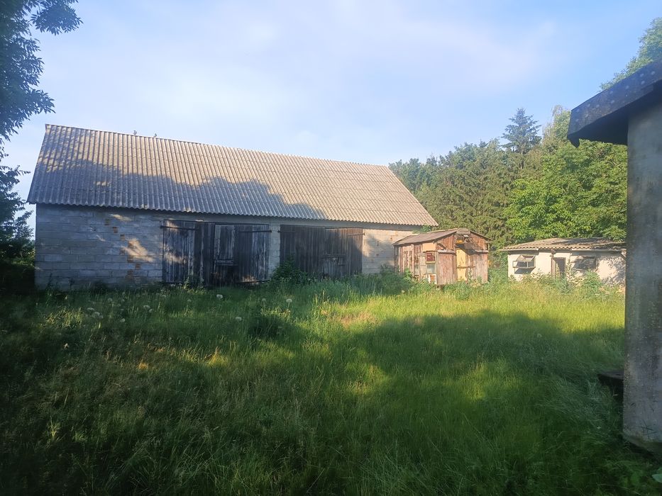 Zdjęcie 3