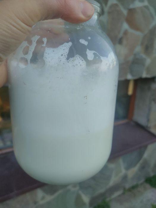 Продаємо дійну  козочку