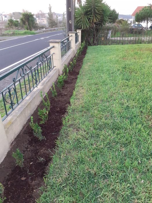 Serviço de jardineiro