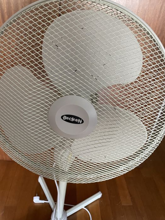 Ventoinha de pé alto