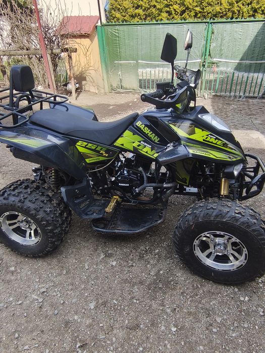 Bashan x-one 250