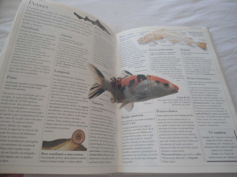 Dicionário Escolar da Natureza por David Burnie