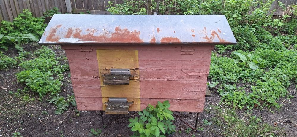 Вулики українки не дорого