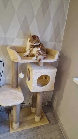 Домик когтеточка лежанка Игровой комплекс для кота дряпка
