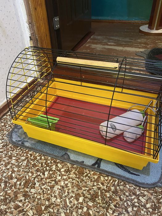 Клітка - переноска для хомʼяка б/у ( дуже гарний стан)