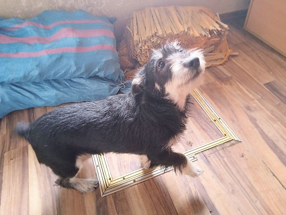 Bombelek – 2 lata czekania na cud.