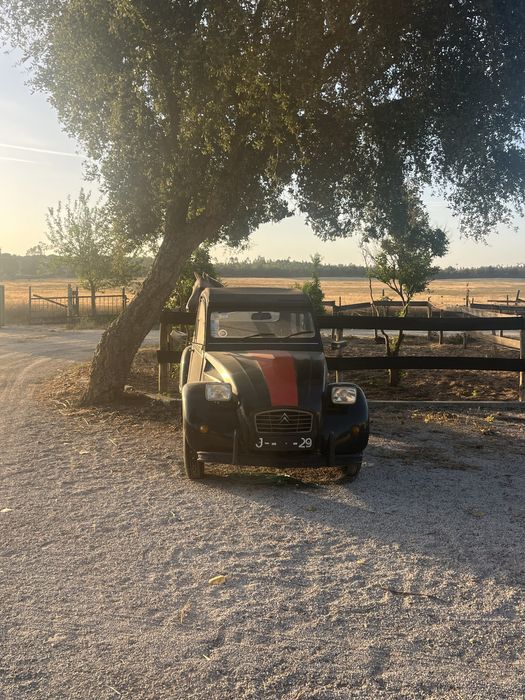 Citroen 2cv antigo
