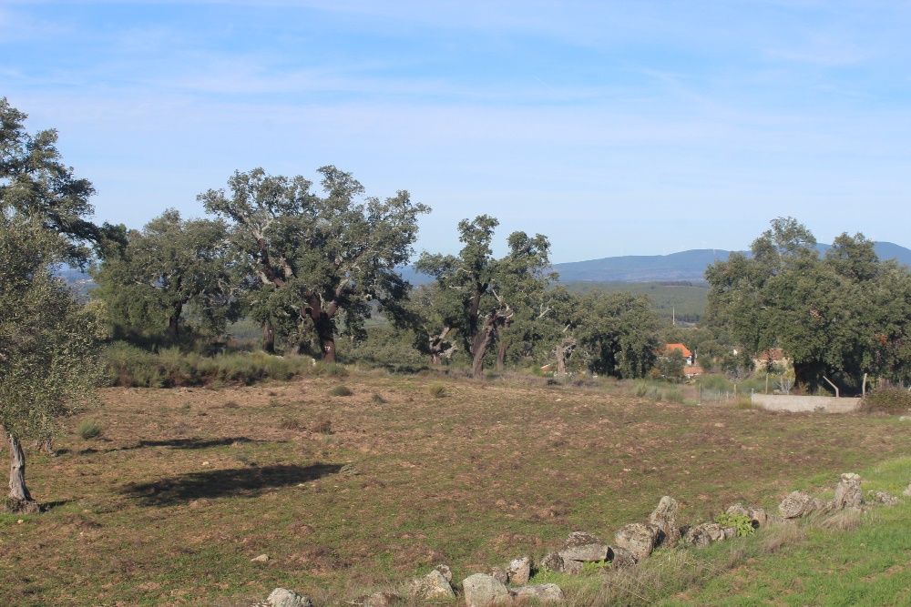 Terreno Aldeia Santa Margarida