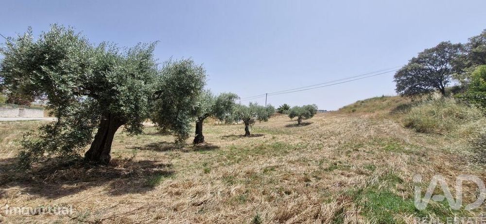 Terreno em Azambujeira e Malaqueijo de 3650,00 m2