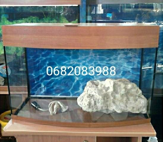 Акваріум 105 літрів Самовивіз 
105 літрів.
З кришкою освітленням.
Лише