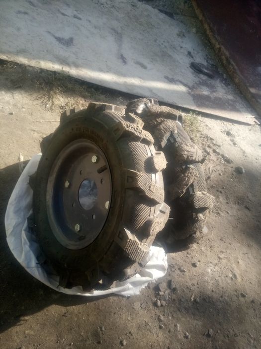 Новые пара всборе