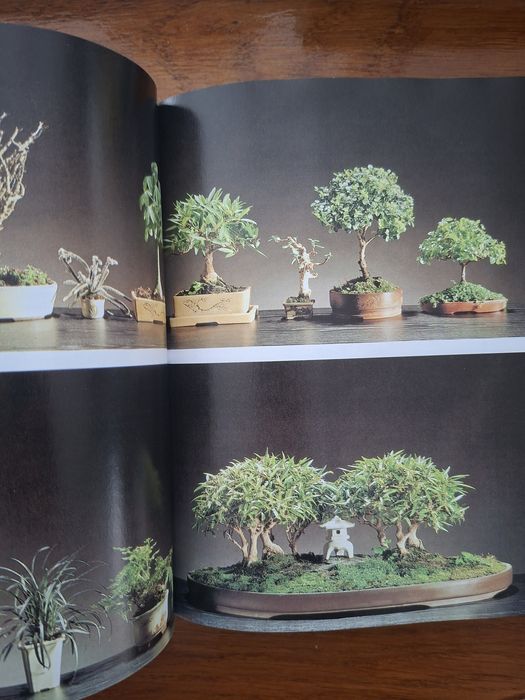 Robimy bonsai Wolfgang Kawollek