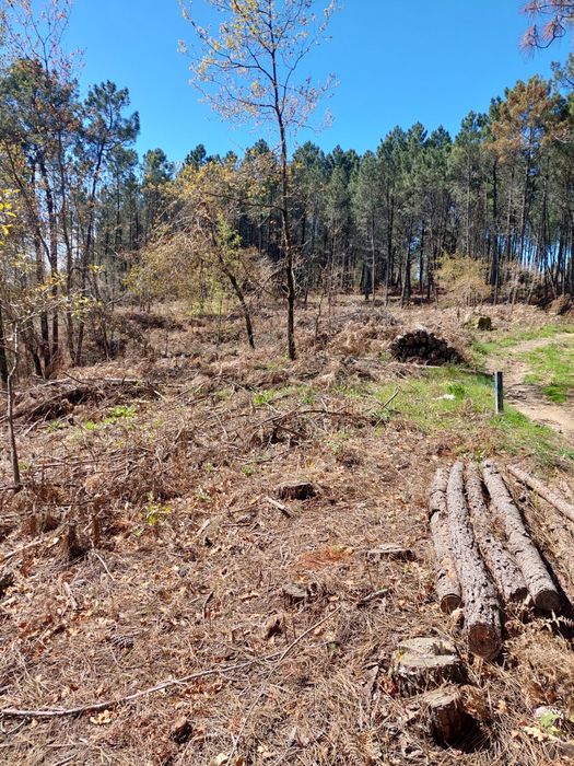Vendo terreno Urbanizável