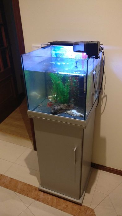 Aquário Ehem 64L + Móvel Ehem Cinza