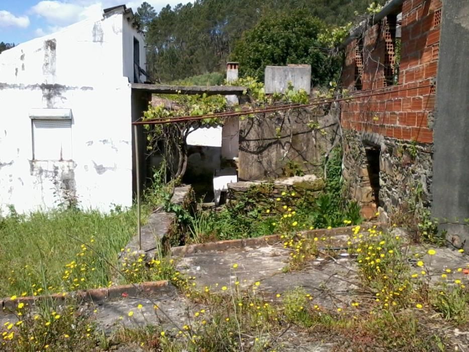 Sertã (Aldeia Fundeira da Ribeira) – Moradia e 4.170 m2
