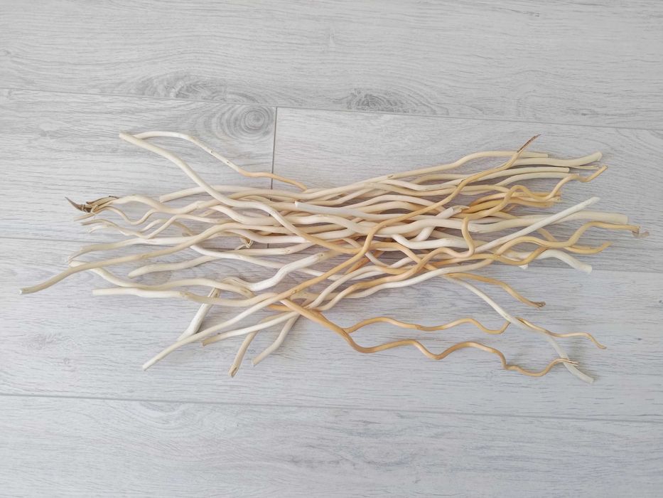 Gałązki ozdobne piękne beżowe