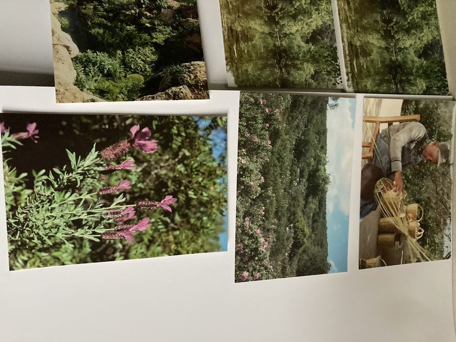 Postais: Sítio Classificado da Fonte Benémola -Loulé