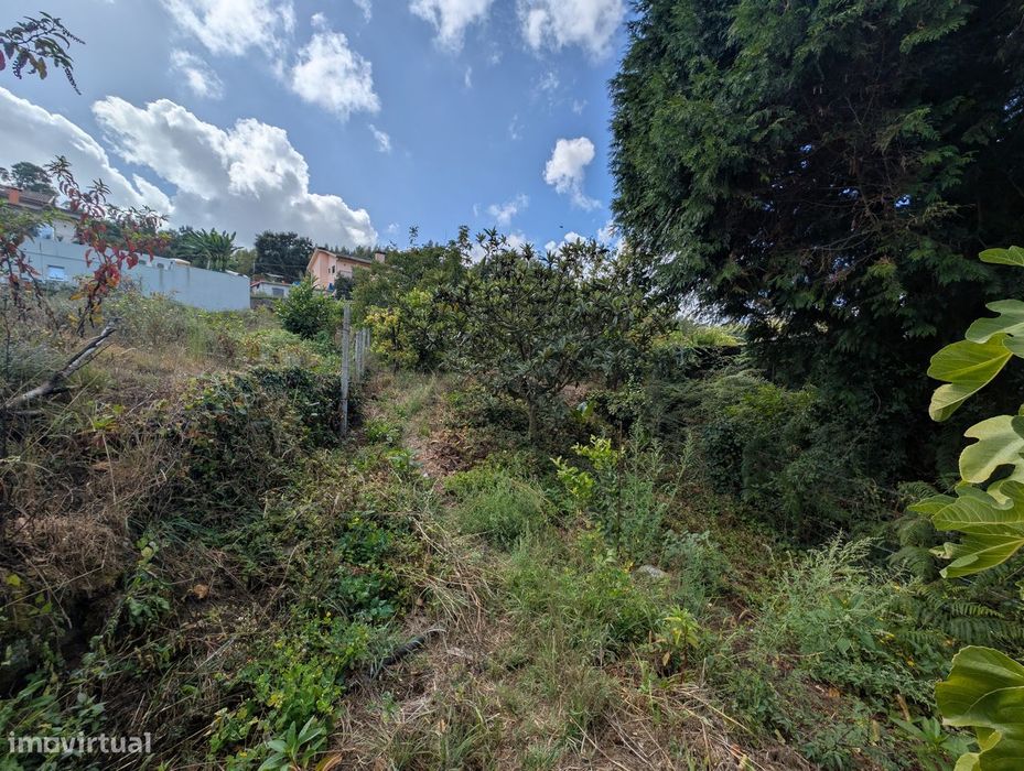 Terreno Misto em Vilaça – 1.100 m²