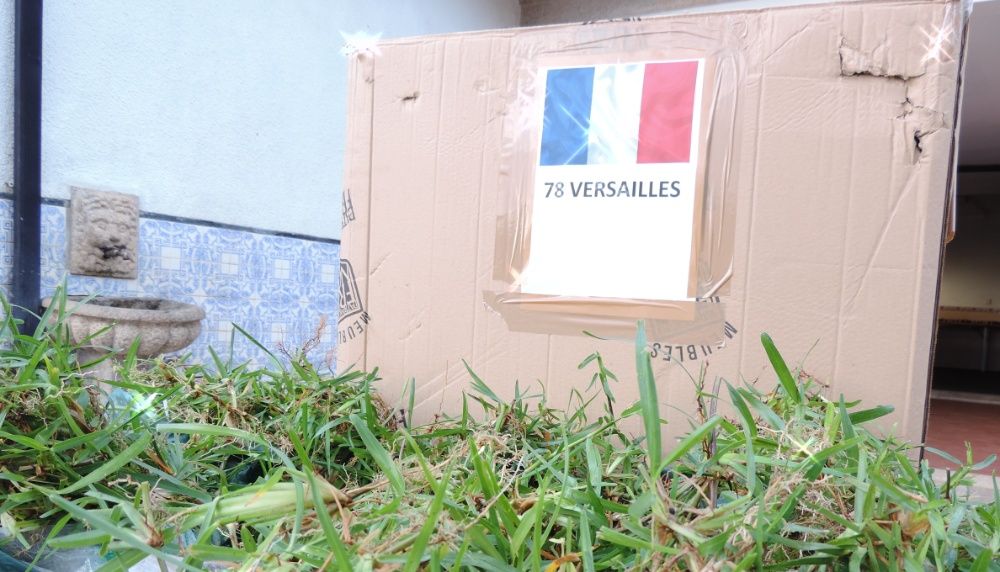 Escalracho para entrega ou envio