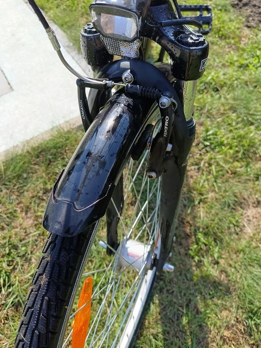 Pegasus Avanti 28 cali,rama 53 cm