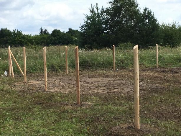 słupki drewniane paliki kołki bale 2,25m ze Swadzimia HIT
