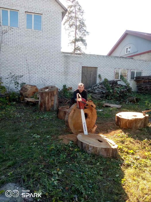 Спиляти Дерево, Спилить Дерево, Обрізка Дерев, Кронування Дерев