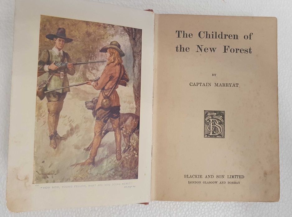 Livro The Children of the New Forest by Captain Marryat, anos 20