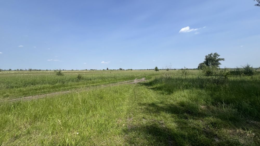 Продаж ділянки  від 10 га , 1-ша лінія до води с. Погреби