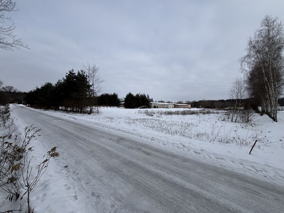 Działka pod lasem z WZ i mediami. Wysoka głogowska ok. 45ar