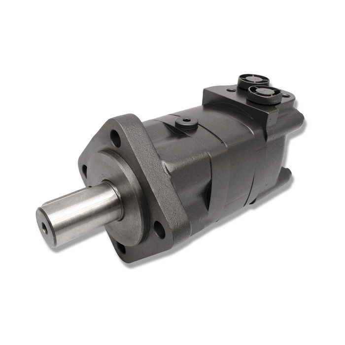 SILNIK Hydrauliczny BMS SMS OMS 250cm3 ALSG3 GR3 [4216]