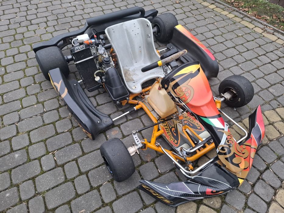 Gokart interprid rotax max 125