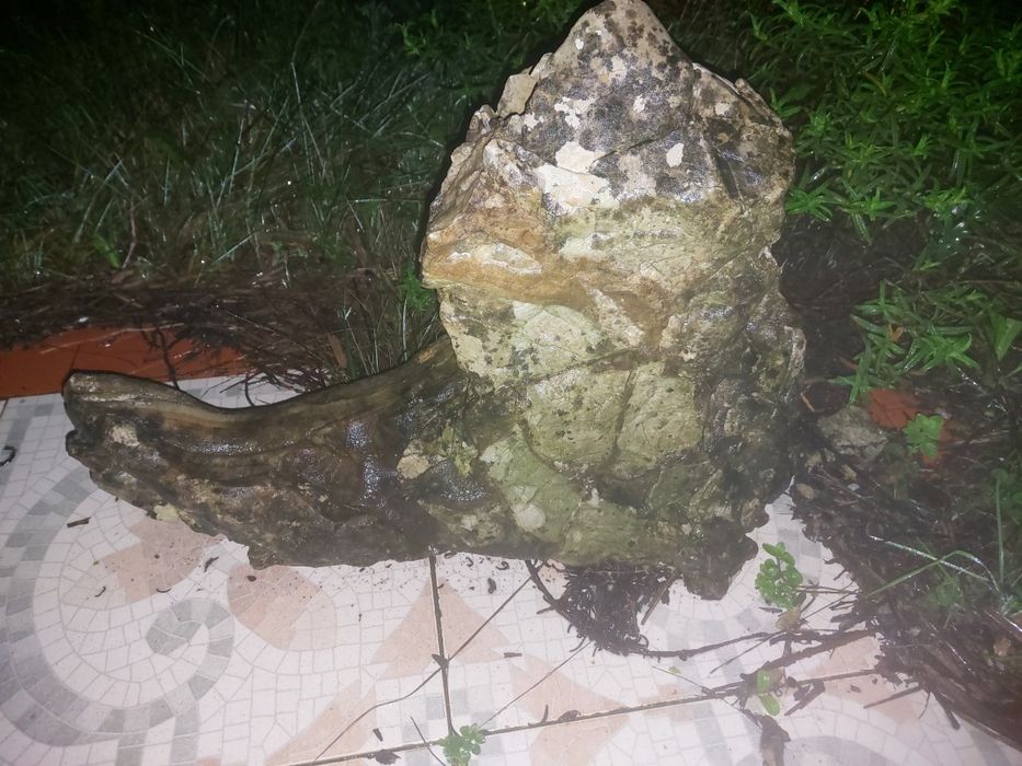 Pedras vidro transparentes naturais.