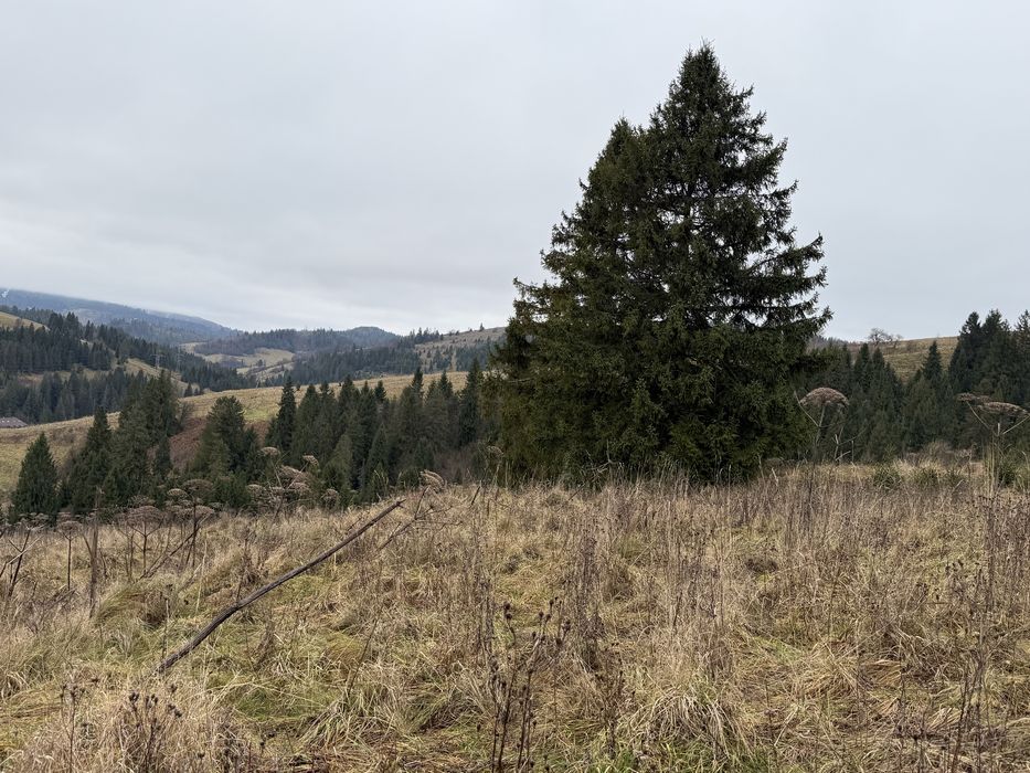 Продається ділянка у с. Пилипець