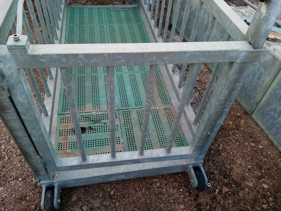 Balança para animais - Pestronix - pesa até 1500 kg