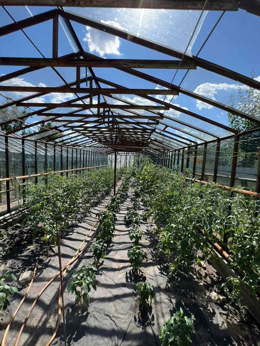 Пропонуємо до продажу чудовий будинок в с.Геронимівка