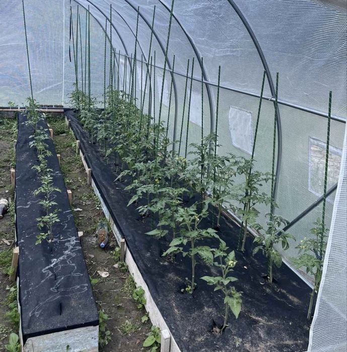 Композитна арматура опора для підвʼязки рослин
