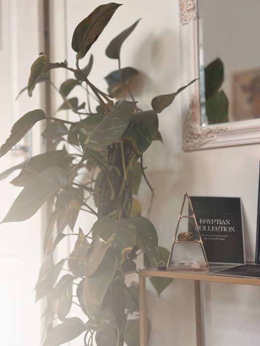 Krowoderska | Szlak | Wynajem stanowisk / co working tatuaż  / gabinet / studio w centrum / tatuaż, masaż, usługi