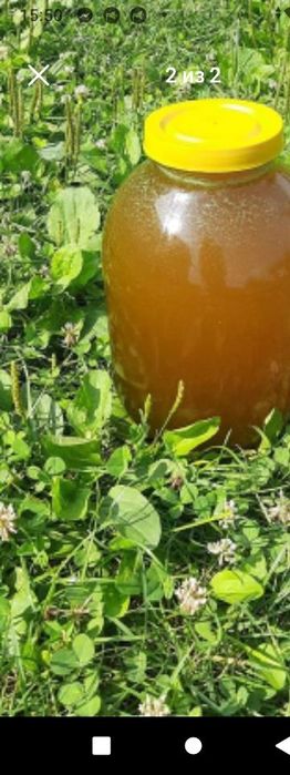 Продам домашний качественный мед недорого