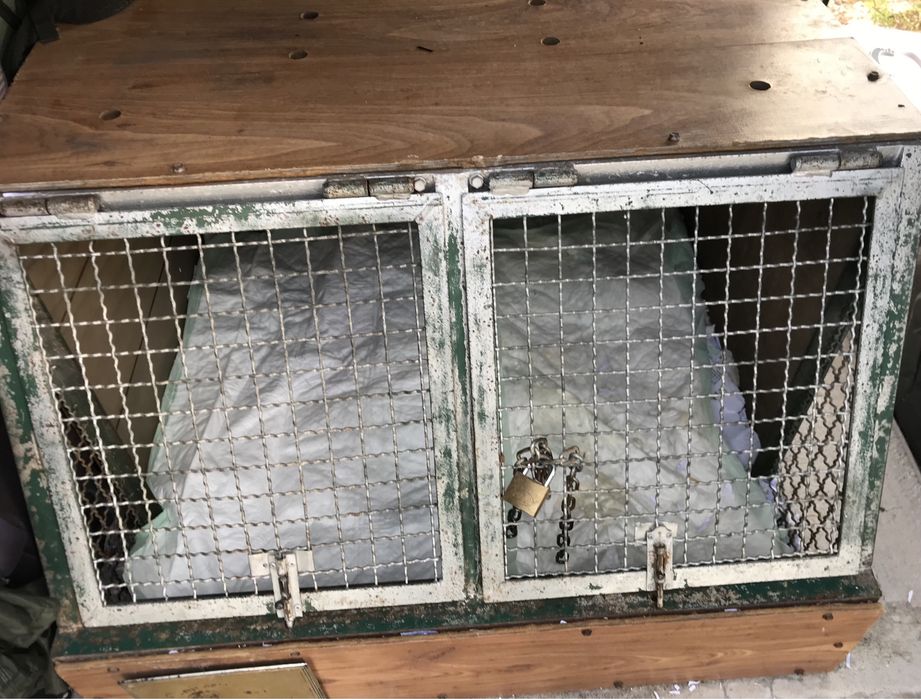 Transportadora Cães