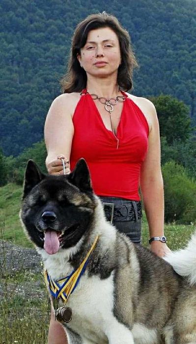 Вязка. Американська акіта. Акита. kennel Dogart Line. Львів