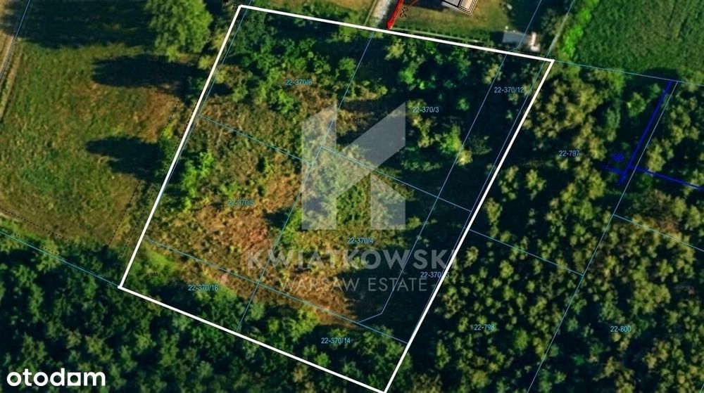 Wiązowna | Las | Świder | Działka budowlana 7211m² - Widok 3