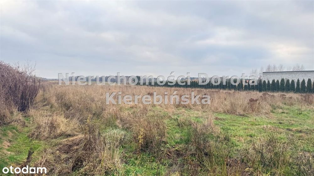 Działka budowlana z Wz przy ul. Starowiejskiej - More