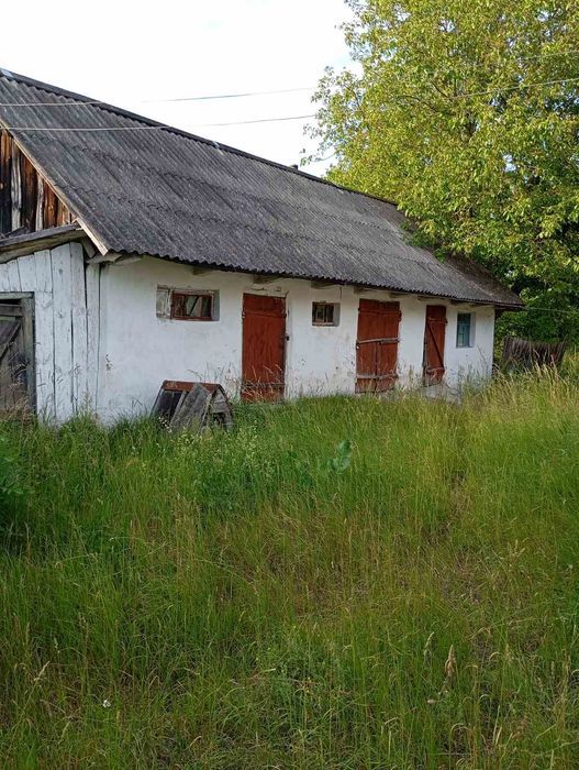Будинок садиба біля лісу